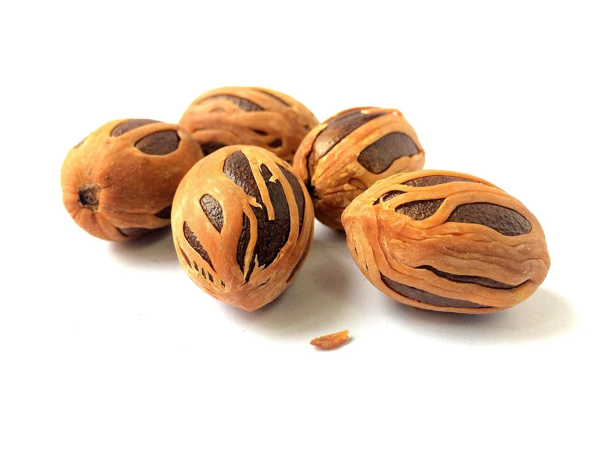 Nutmeg Grinder