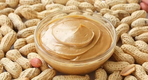 use Colloid Mill for peanut butter production